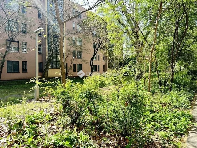 Eladó lakás Kecskemét 27 nm