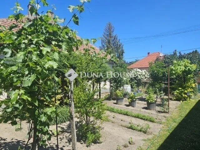 Eladó ház Kecskemét 56 nm