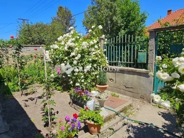 Eladó ház Kecskemét 56 nm