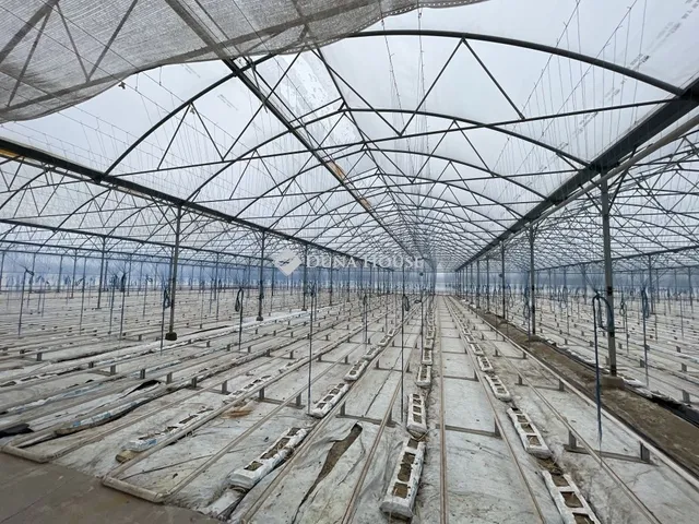 Eladó ház Szabadszállás 120 nm