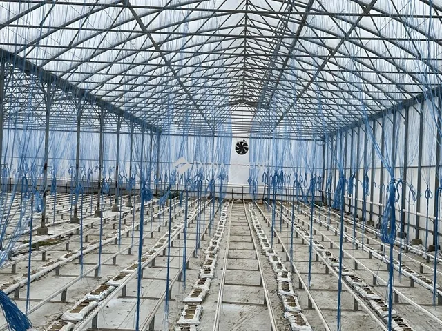 Eladó ház Szabadszállás 120 nm