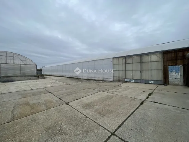 Eladó ház Szabadszállás 120 nm