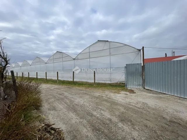 Eladó ház Szabadszállás 120 nm