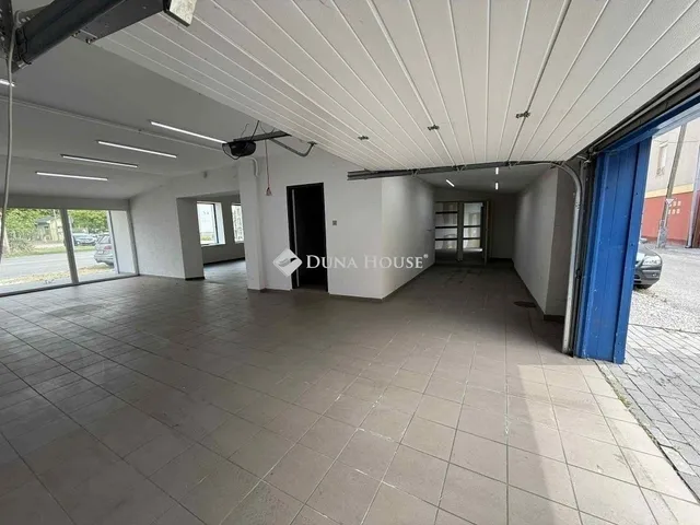 Eladó ház Kecskemét 333 nm