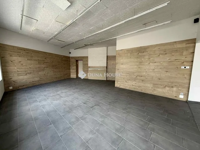 Eladó ház Kecskemét 333 nm