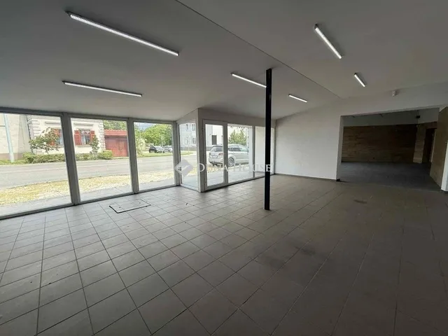 Eladó ház Kecskemét 333 nm