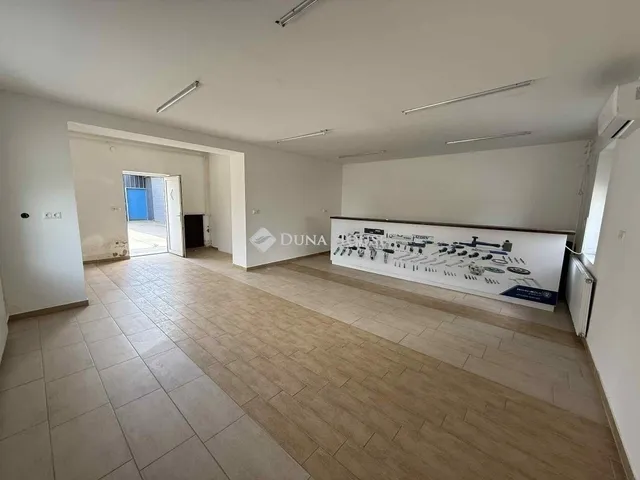 Eladó ház Kecskemét 333 nm