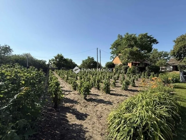 Eladó ház Kecskemét 80 nm