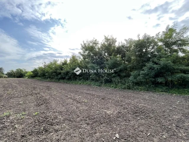 Eladó ház Szakony 128 nm