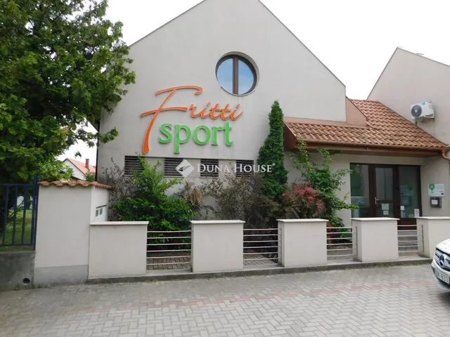 Eladó ház Kiskőrös 253 nm