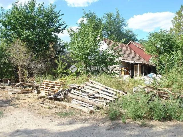 Eladó mezőgazdasági ingatlan Kecskemét 150 nm