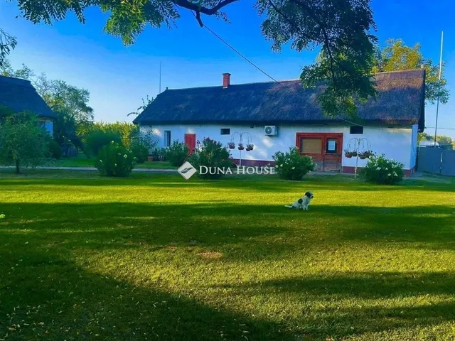 Eladó mezőgazdasági ingatlan Lajosmizse 140 nm