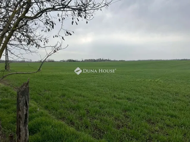 Eladó mezőgazdasági ingatlan Városföld 97 nm