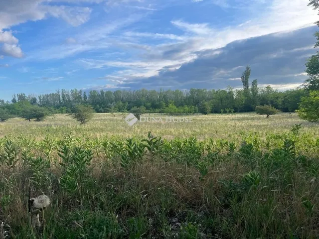 Eladó telek Kerekegyháza 154756 nm