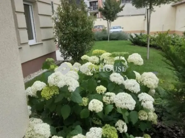 Eladó lakás Kecskemét 91 nm