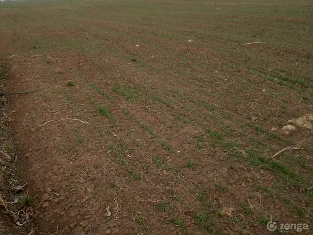 Eladó telek Polgárdi 1593 nm