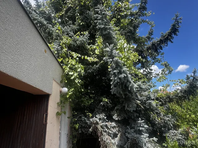 Eladó üdülő és hétvégi ház Tahitótfalu, Szarvas köz 9. 40 nm