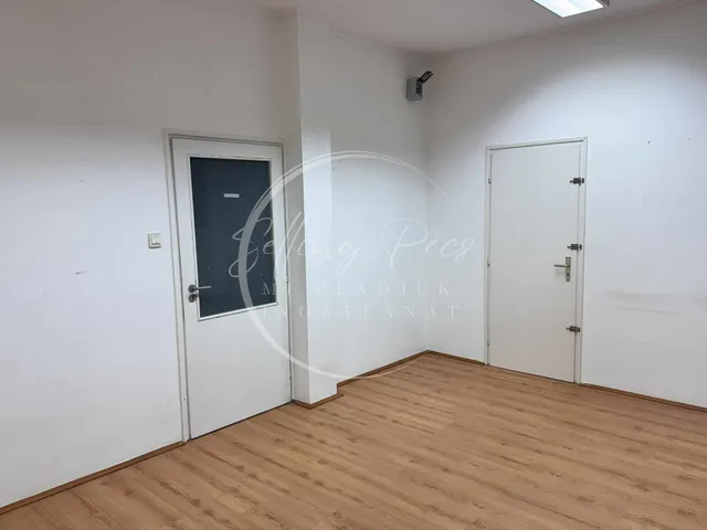 Kiadó kereskedelmi és ipari ingatlan Pécs, Egyetemváros, Budai nagy Antal utca 20 nm