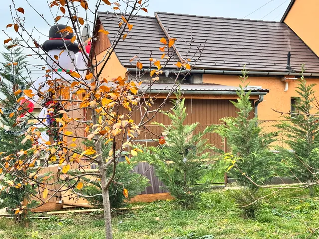 Eladó ház Pécs, Budai városrész, Szondy György utca  50 nm