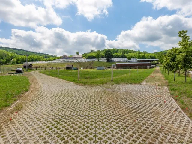 Eladó mezőgazdasági ingatlan Szekszárd 350 nm
