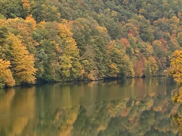 Eladó ház Miskolc, Majláth 150 nm