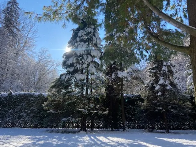 Eladó ház Miskolc, Majláth 150 nm