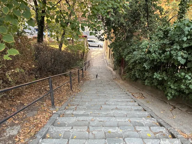 Kiadó lakás Budapest I. kerület, Várnegyed, Toldy Ferenc utca 37-39. 40 nm