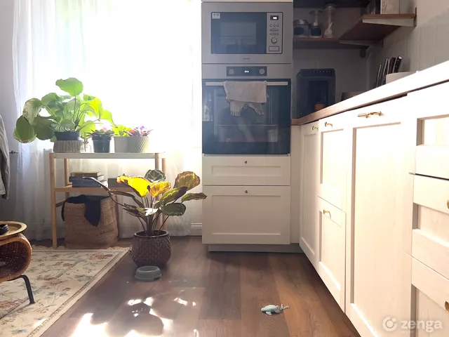 Eladó lakás Budapest XIII. kerület, Angyalföld 38 nm