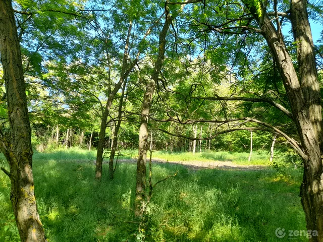 Eladó telek Badacsonytomaj 3042 nm