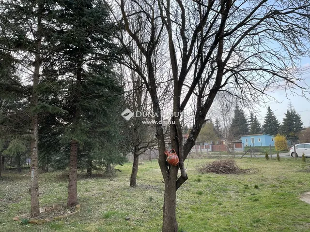 Eladó ház Pankasz 109 nm