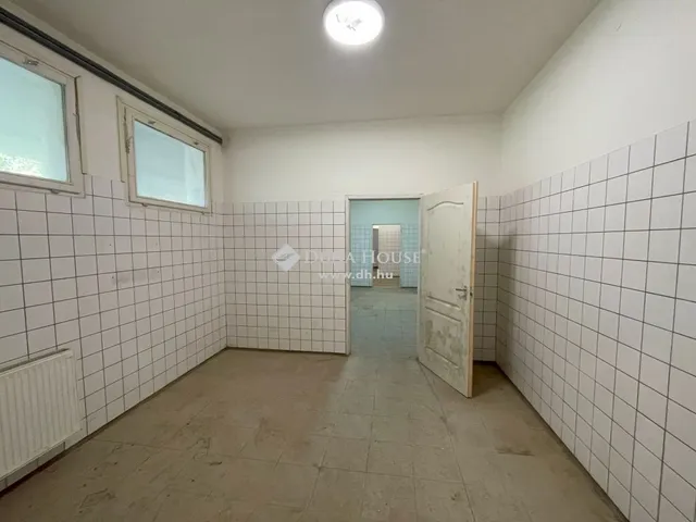 Eladó ház Ispánk 250 nm