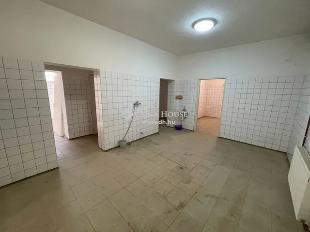 Eladó ház Ispánk 250 nm