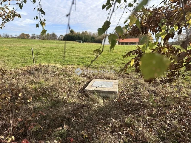 Eladó telek Szalafő 4986 nm
