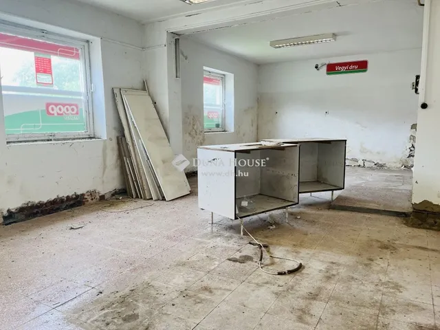 Eladó kereskedelmi és ipari ingatlan Egyházashollós 112 nm
