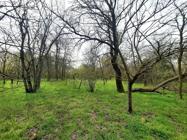 Eladó telek Csévharaszt 5697 nm
