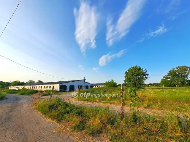 Eladó mezőgazdasági ingatlan Solt 124448 nm