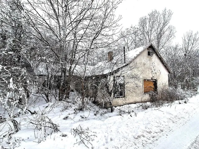 Eladó mezőgazdasági ingatlan Abony 71 nm