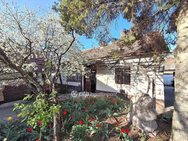 Eladó ház Kunszállás 58 nm