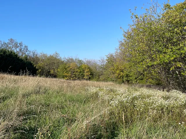 Eladó mezőgazdasági ingatlan Üröm, Kőhegy utca 1734 nm