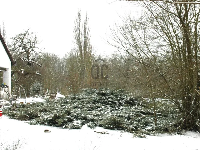 Eladó ház Mikebuda 220 nm