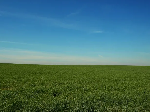 Eladó telek Alsónémedi 45673 nm