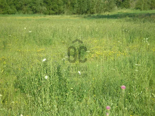 Eladó telek Alsónémedi 45673 nm