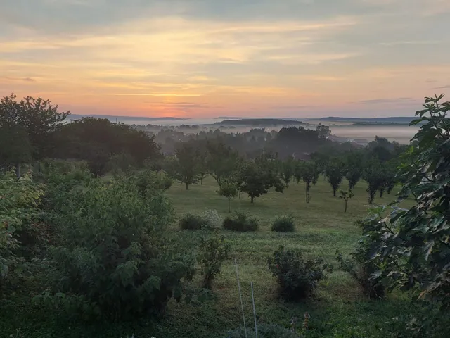 Eladó telek Etyek 6253 nm