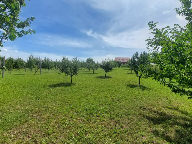 Eladó telek Etyek 6253 nm