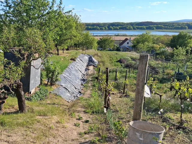 Eladó mezőgazdasági ingatlan Kajászó 1440 nm