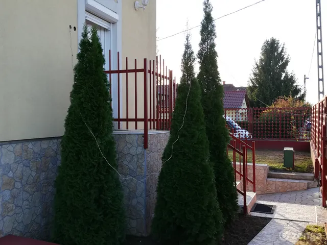 Eladó ház Nyíregyháza, Oros 180 nm