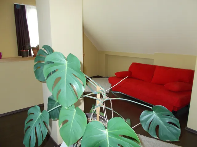 Kiadó ház Budapest X. kerület, Óhegy, Petrőczy utca 140 nm