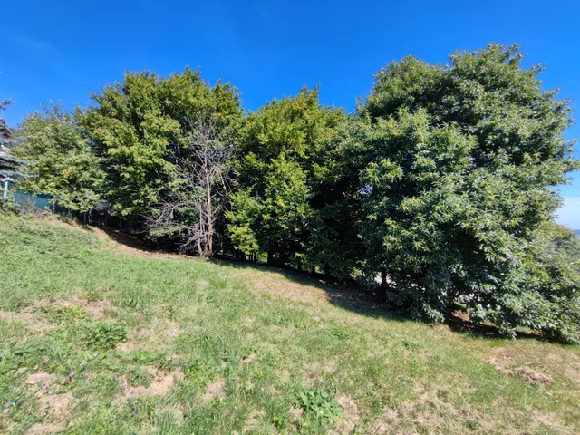 Eladó telek Sopron, Kutyahegy 1020 nm
