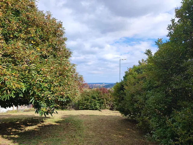 Eladó telek Sopron 1000 nm