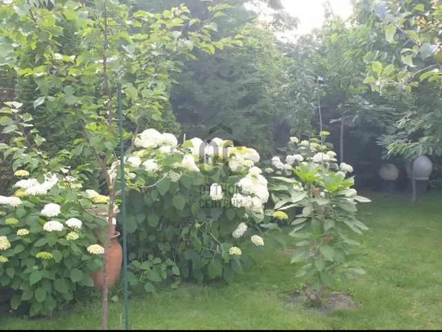 Eladó ház Budapest XV. kerület, Pestújhely 135 nm